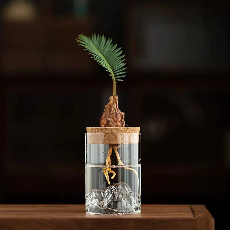 Гидропонное растение небольшое горшечное растение офисное столовое столик