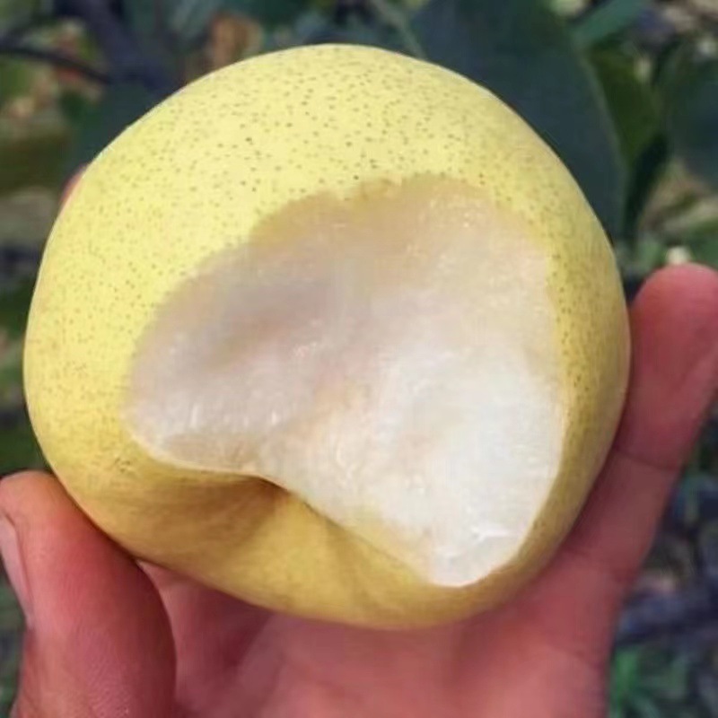 d35cbfc58acf69cbcb5a4d766d6135