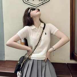 独特polo翻领t恤小衫女绝美麻花针织短袖夏季法式刺绣设计感上衣