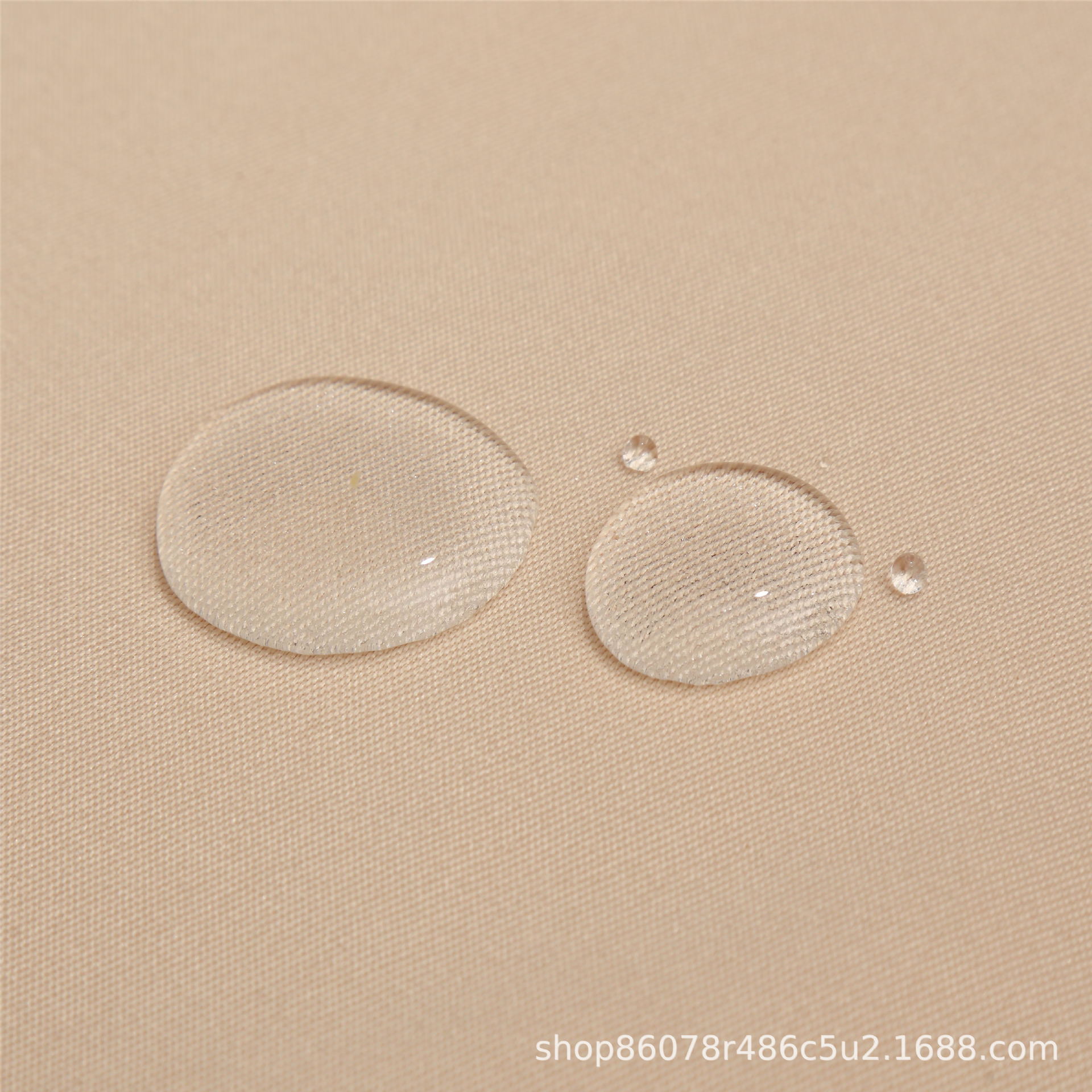 2E9A7841_看图王_看图王