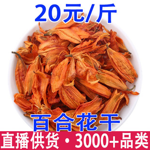 �ٺϻ��ɻ� �`֥�� �ٺϻ���  ��ϰٺϻ�  �a��؛Դ һ�����l