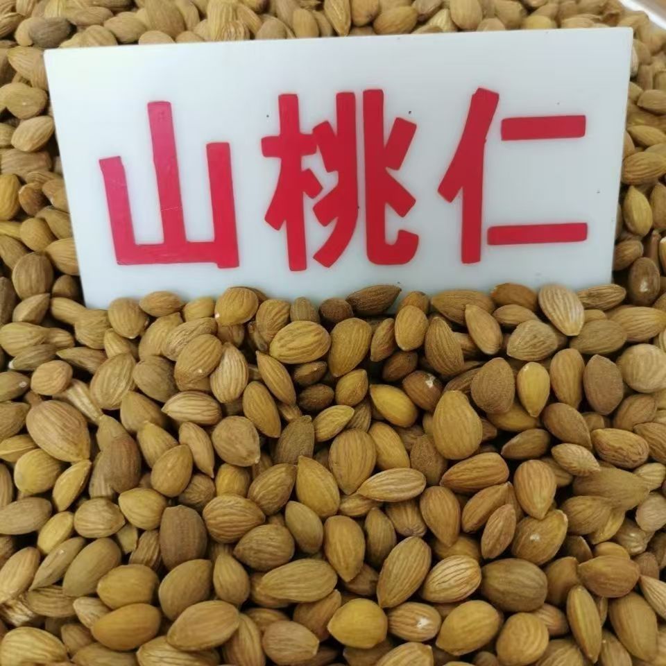 Peach Kernel Tao Ren 山桃仁 Dried Prunus persica Seed for TCM Decoctions 500g quality and texture