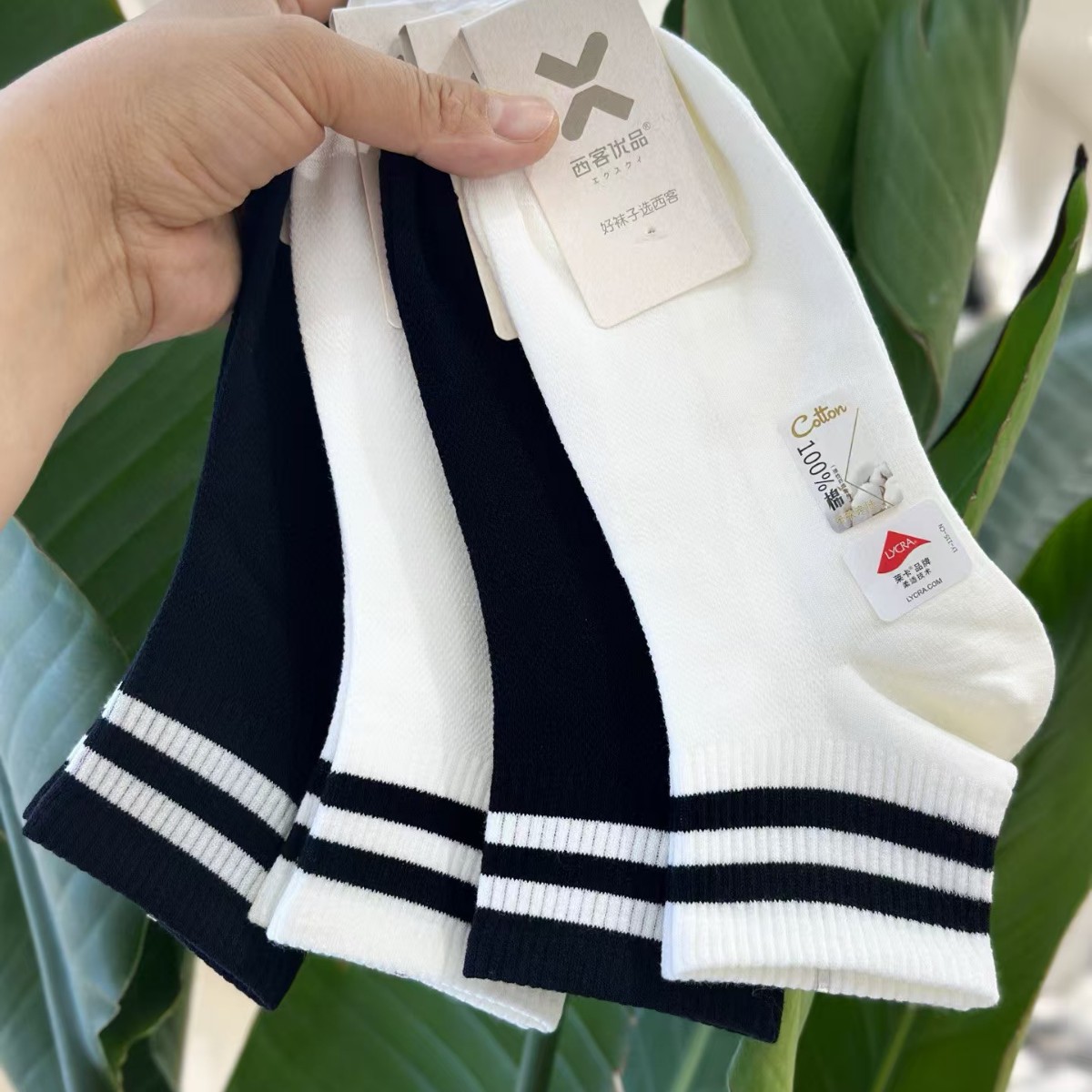 New fresh and cute women's short