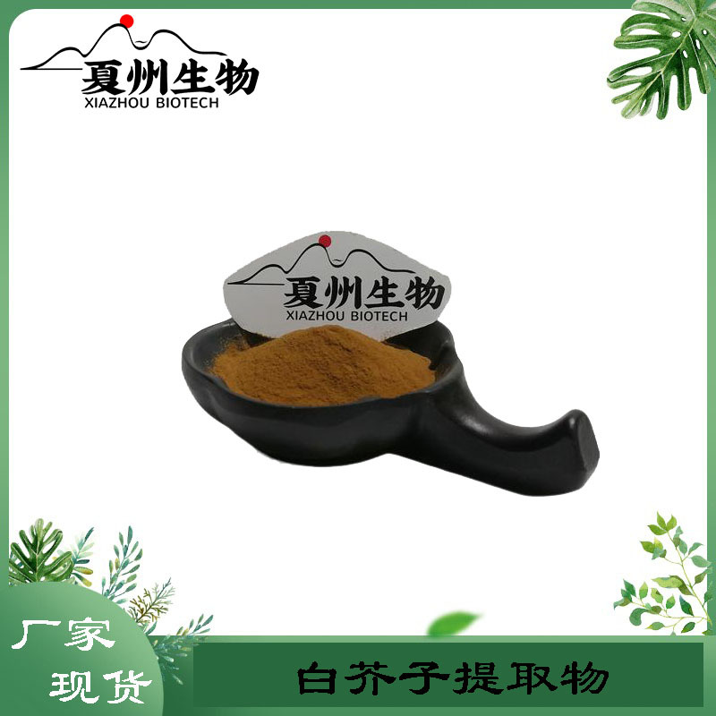 白芥子提取物 10/20/30:1 白芥子粉 植提白芥子 辣菜子比例浓缩粉