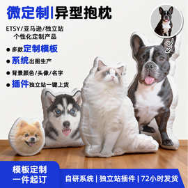 宠物照片定制异形公仔抱枕 来图DIY玩偶 送爱宠人士/情侣纪念靠枕