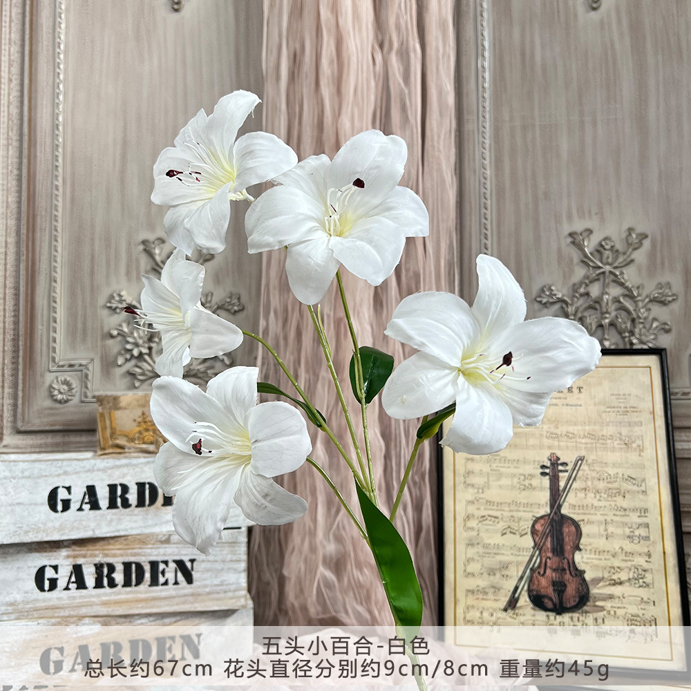 JHGY-ซายูริหัวห้าหัว-ขาว