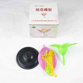 数理教学器材;教学仪器;教学演示用品