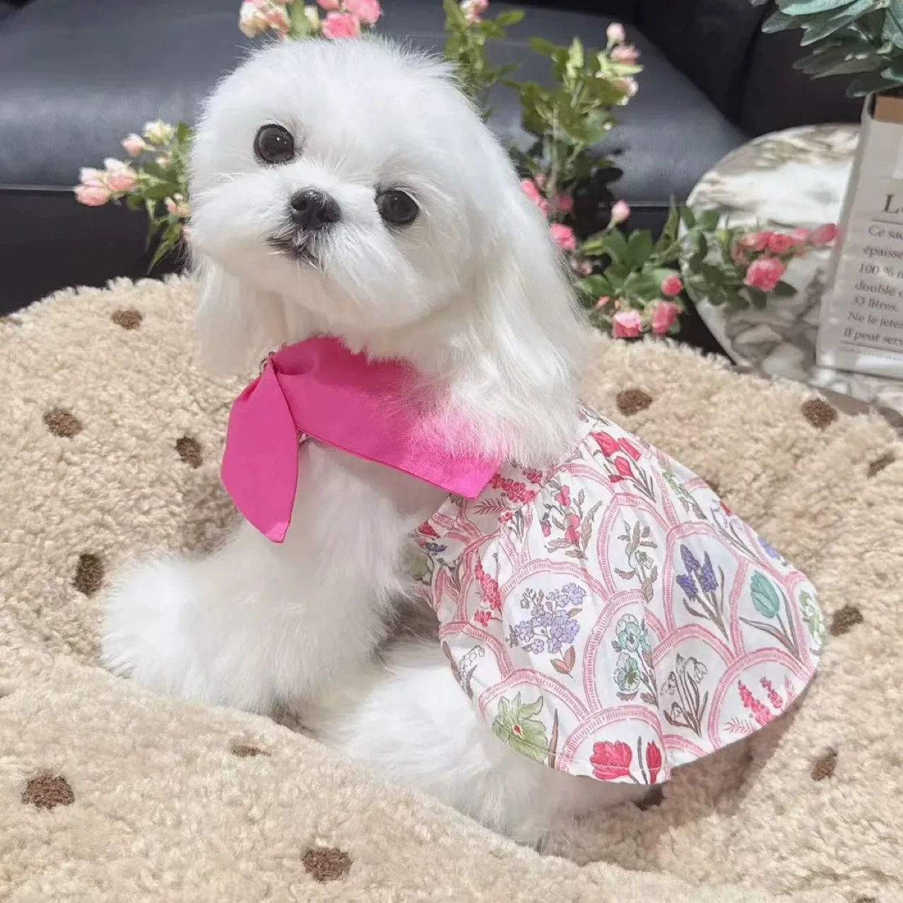 Одежда для домашних животных Ши-тцу Малцис Шнауцер Маленькая собака весна, лето, осень, юбка ириса, весенний и осенний тур на открытом воздухе