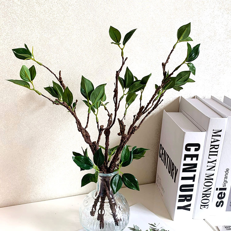 QQ图片20210730112954