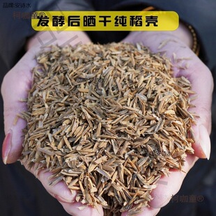 �i�S�ɰl��ţ�SÓˮ�S�㵾���I�B͸������������ǠI�B������̫��