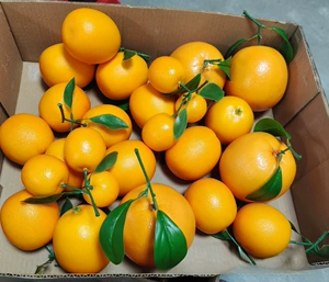 Высокая имитация фруктовой модели, искусственная пена, искусственный Sunkist, пупок, оранжевый реквизит, дисплей с украшением в виде листьев оранжевого цвета