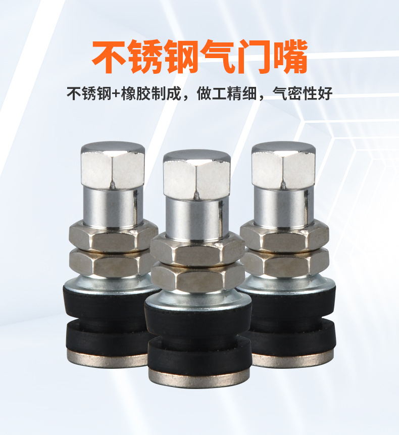 Mike's Stainless Steel Valve Stem Is Made of Alloy Material, Sturdy and Durable, Explosion-Proof Tire Valve with Core for Vacuum Tires