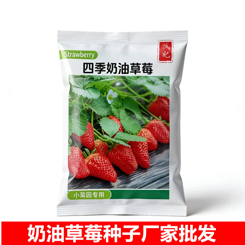 【尺寸9x12cm】兰妃蔬菜种子奶油草莓种子籽种田园种植厂家批发