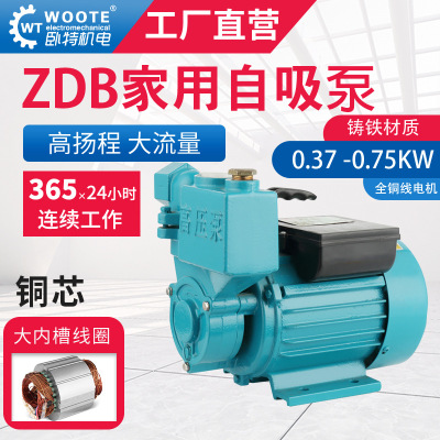 small-scale household Booster pump Pressure pump portable Self priming pump 220V1 caliber light household Self priming pump