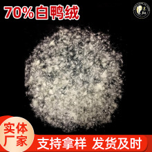 �S�ҬF؛���lˮϴ70%��q��ɫ���ɴ����ë�q�����՝��װ����q