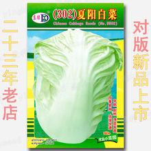 302��ꖰײ˷N�� ���쿹���ײ� �͟�Y���ײ� �����ļ���ײ�