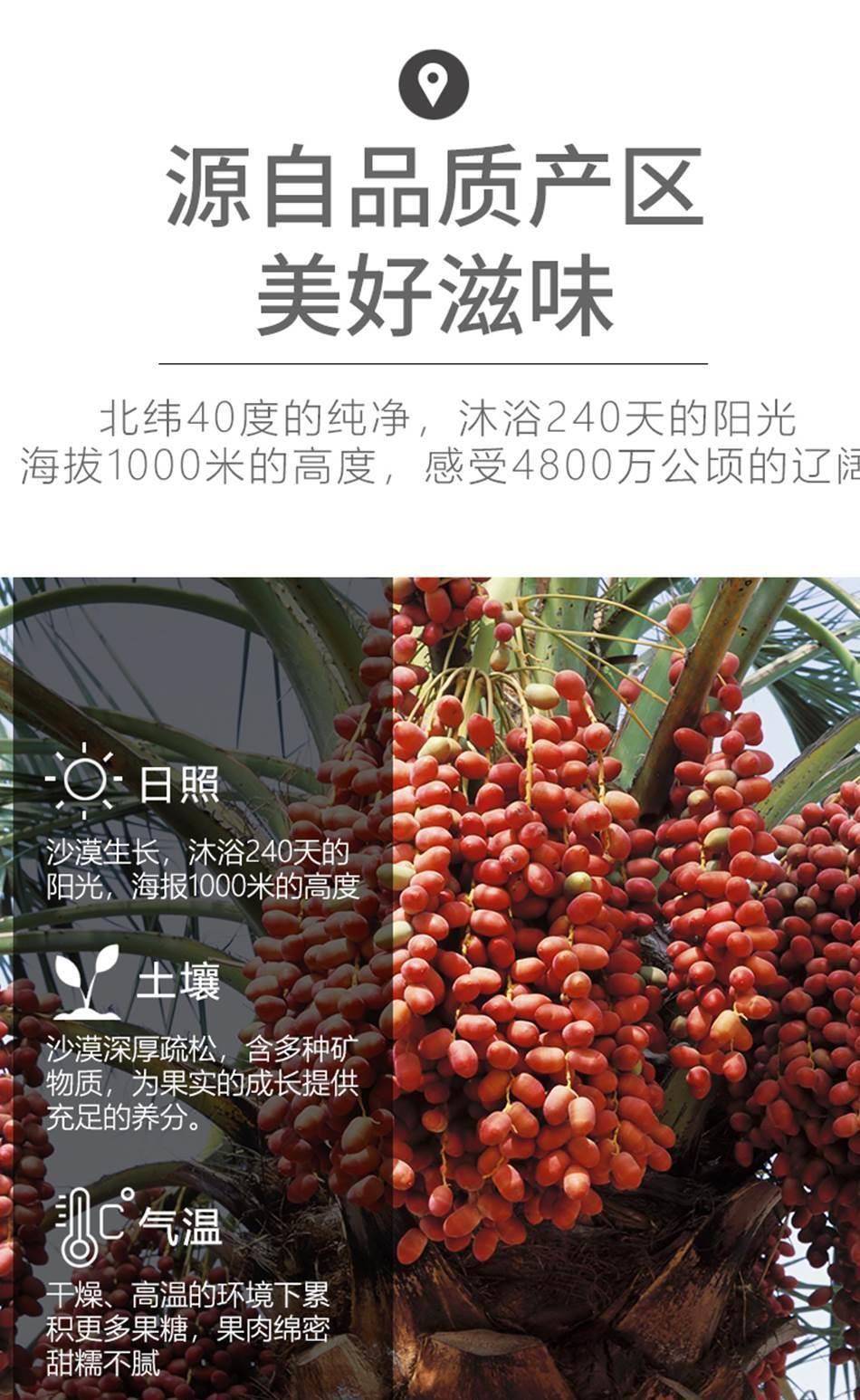 Large Jujube Dates Xinjiang Specialty 5 Jin Bulk Sweet Dried Fruit for Snacking Tea and Cooking quality and texture