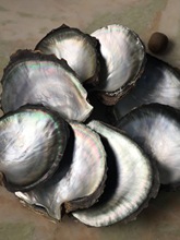 ��Ȼ�ڵ�ؐ��ԭ���Bδ��ĥ����Ҿ��Ʒ�[���zӰ���ߵ��ĸؐ����