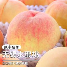 正宗水蜜桃软桃新鲜孕妇水果当季现摘晚白花湖景桃产地发