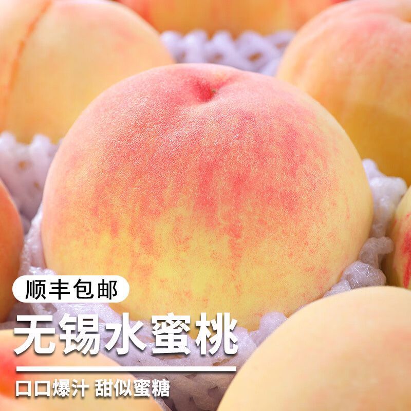 正宗水蜜桃软桃新鲜孕妇水果当季现摘晚白花湖景桃产地发