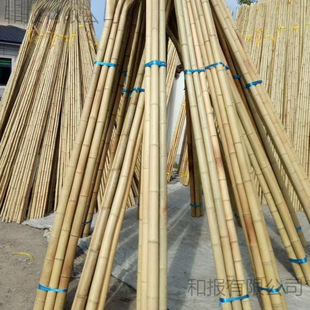 ��������b��S�ּ�����Ӷ��ǲˈ@�S�ϴ�ܲ˼�����U���