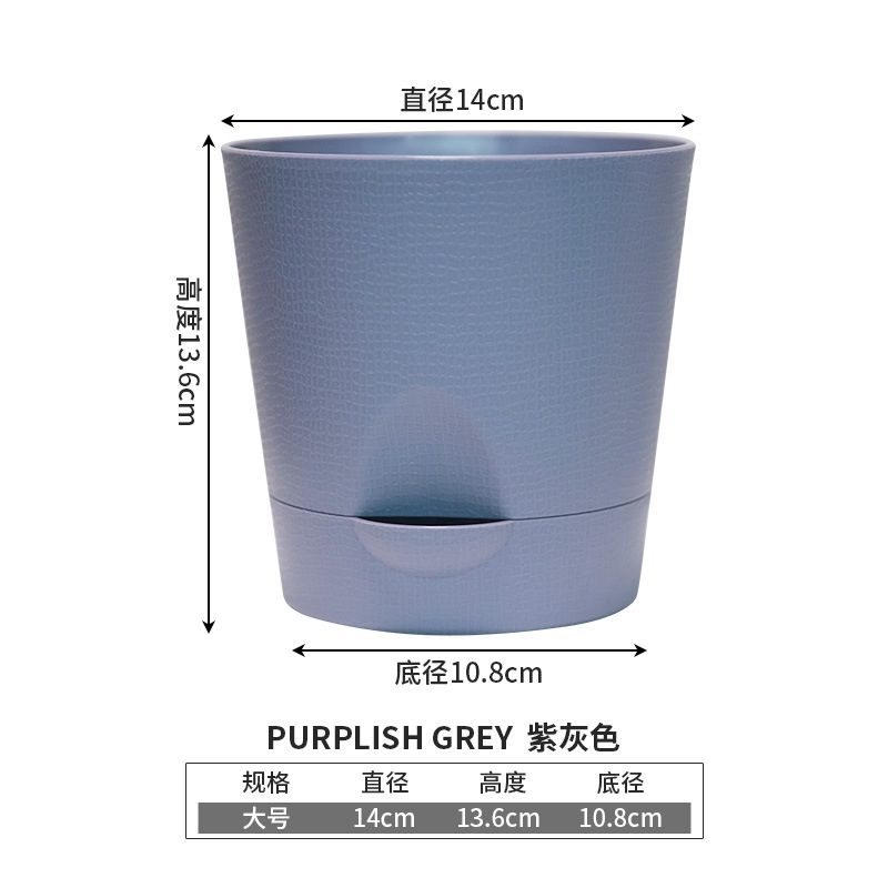 대형 퍼플 그레이