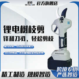 电动修枝剪手持式修剪树枝园林园艺剪充电粗枝剪刀果树剪锂电剪刀