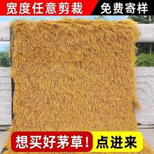 仿真茅草户外毛草民宿屋顶景区塑料装饰稻草庭院农家乐隔热凉亭