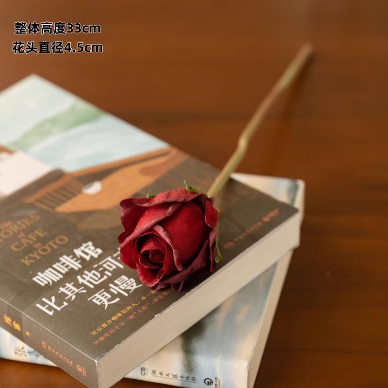 파리 앙고라 싱글 헤드 로제 와인 레드 1병