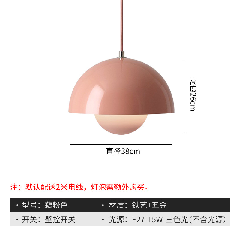 Lotus root-large 38cm