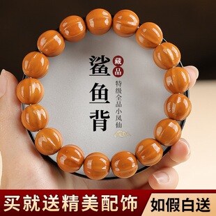 Ұ����̺��^�ִ����~�������������҆�Ȧ������Ůʿ����P�����
