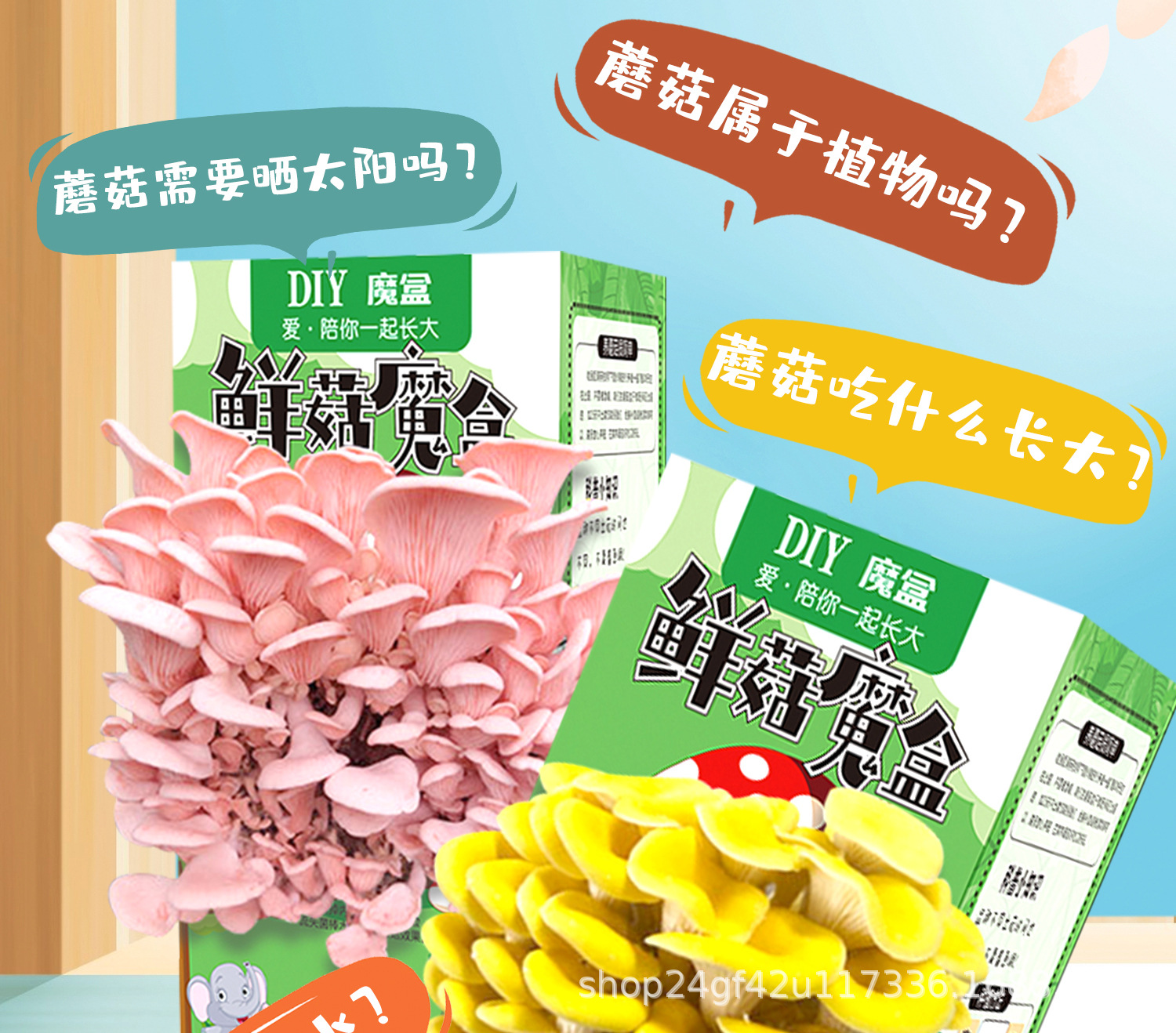 详情图