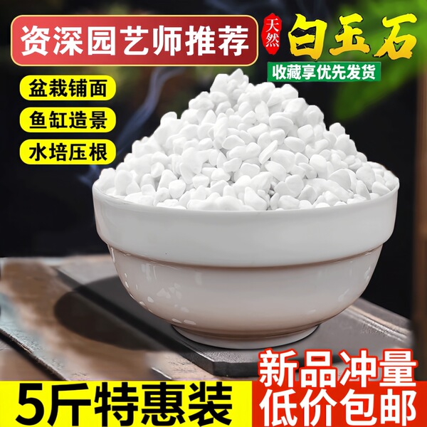 5 pounds of small white stones