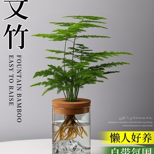 ���������҃�ˮ��ֲ���k��������Gֲ����С�[�������՚���˺��B