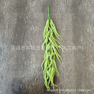 �羳�²廨�b��������L�����ڒ��҃ȵ�픲��þGɫֲ���쾰��Y