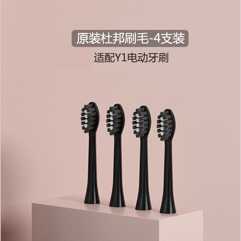 Y1黑色刷头 4支装