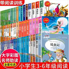 昆虫记鲁滨逊漂流记西游记稻草人小学生三四五六年级课外书彩图版