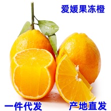 現貨四川眉山愛媛果凍橙38號當季新鮮現摘一件代發愛媛果凍橙