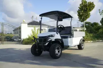 with 2 and 4 Seats for: Elektrikli qolf avtomobilləri - cargo-bucket-golf-cart