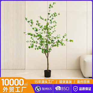 ����Gֲ���R���R��ľ����������ؼ٘�ֲ���҃��b��������