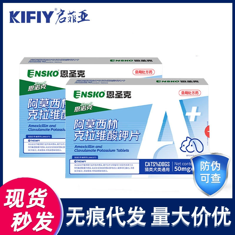 Pfizer 50mg/250mg кошки собаки амоксициллин клават калия домашние животные простуды чихают дыхательные пути