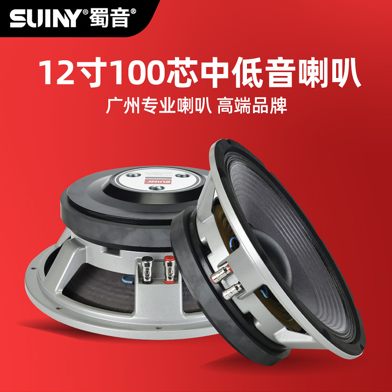 Suiny/Shuyin Classy 12inch Bass Speaker 20 Thick 100 Core Full Range Speaker High Power 500 Watt Stage