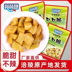本場福陵の塩漬けキャベツ芯、減塩、サクサク、特製塩漬けキャベツ、漬物、軽くて美味しい、小包装