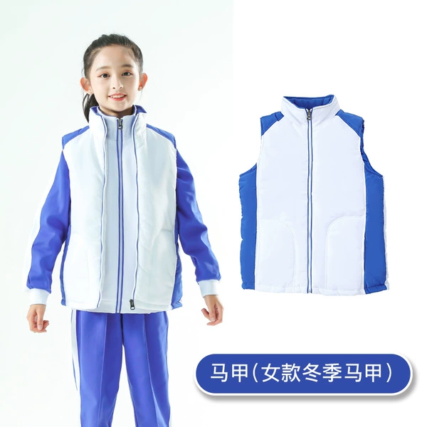 Winter vest