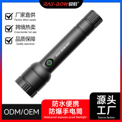 Ruibao 防爆懐中電灯強力な光屋外キャンプ防水電源表示 USB 充電強力な光懐中電灯卸売
