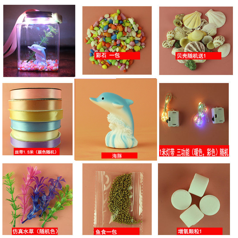 병+램프+풀+돌+벨트+산소+돌고래