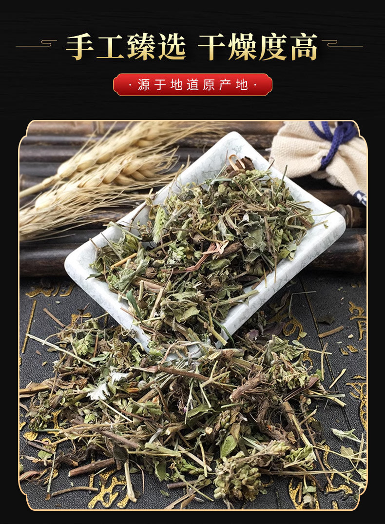 Niu Zhi Xiang (Origanum vulgare) — Dried Oregano Herb for Cooking & Herbal Tea in use