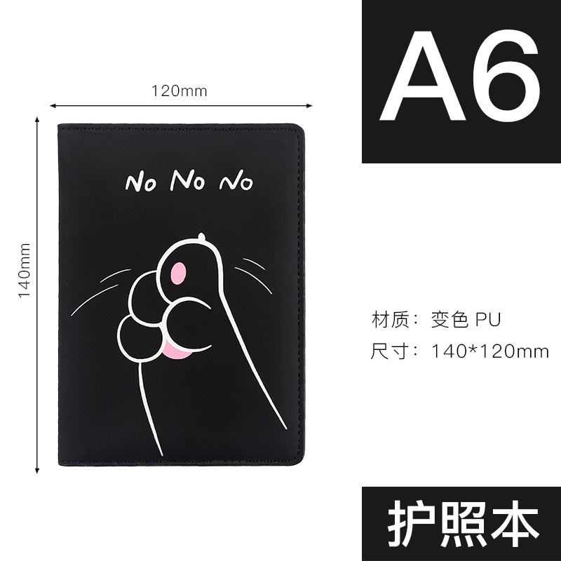 Passport Set Figure 1