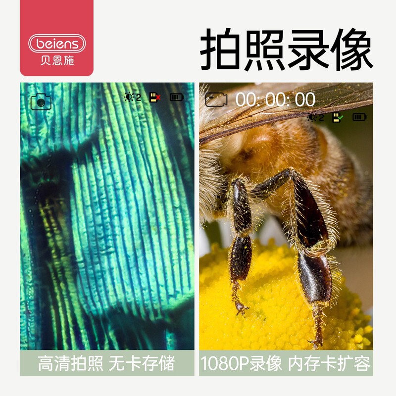 贝恩施跨境儿童便携式微型放大镜可看细菌小学生礼品科学实验玩具|undefined