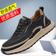 \֮Ь2025¿ʿ\eЬһ_pܛ͸ܲЬ